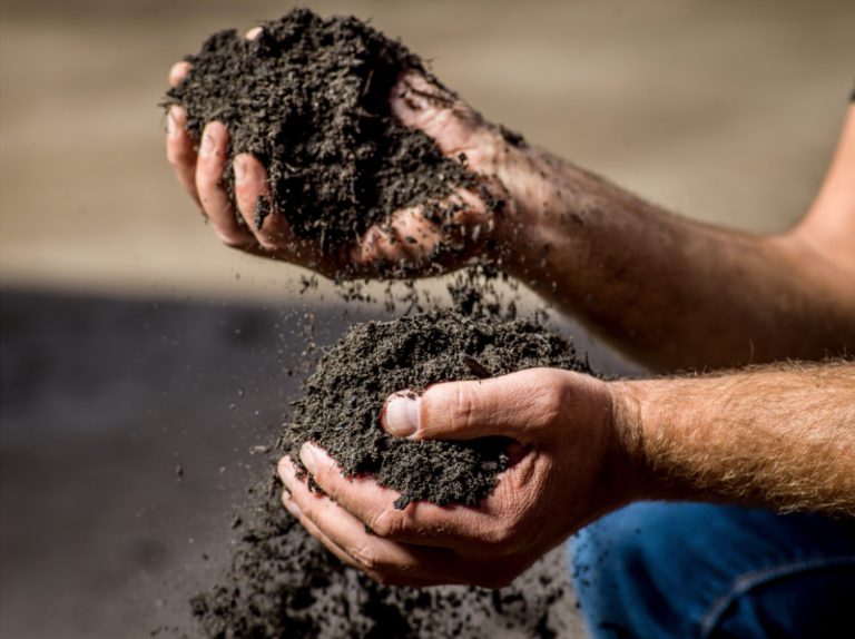 Afbeelding VHG-kennisbijeenkomst