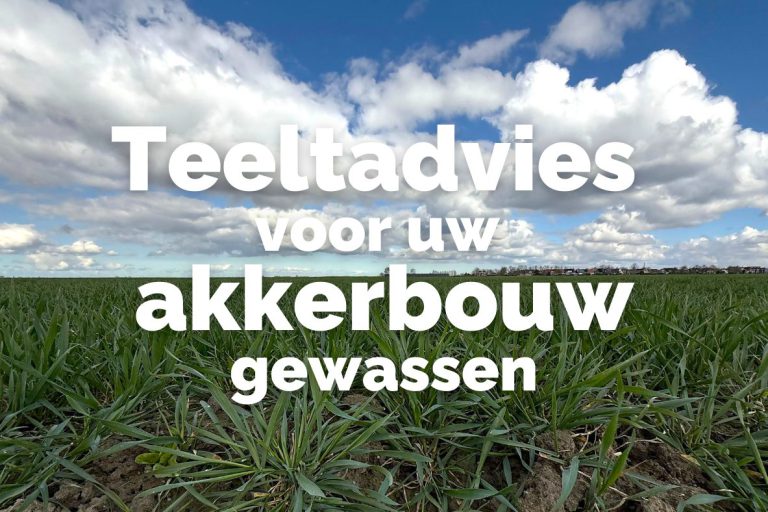 Afbeelding Teeltadvies | stikstof wintergranen en voorbereidingen teeltseizoen