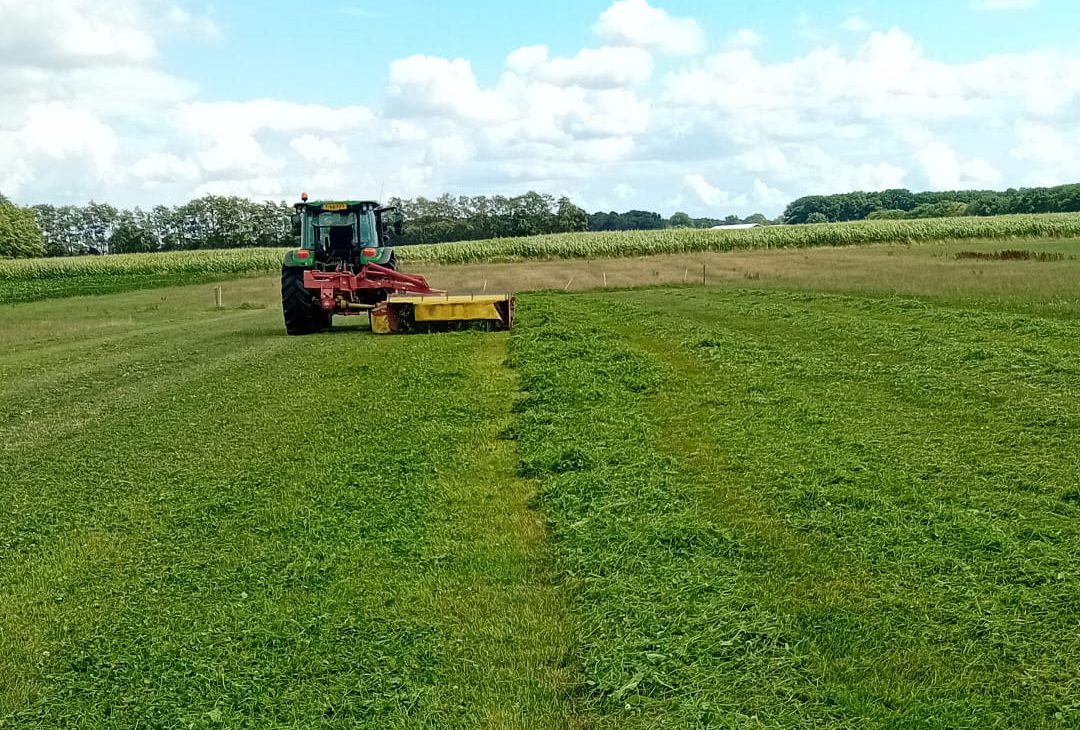 Afbeelding Ondergronds water én mest geven biedt perspectief