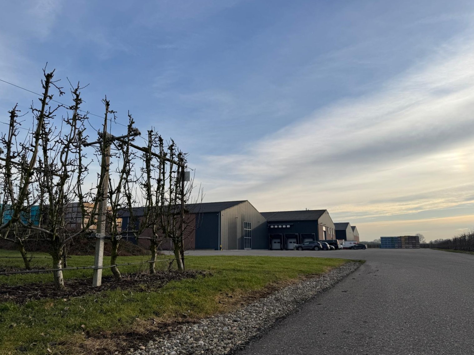 Afbeelding Samen sterk in fruit: Peter en Jos bouwen aan bemestingsplannen met oog voor het hele teeltseizoen