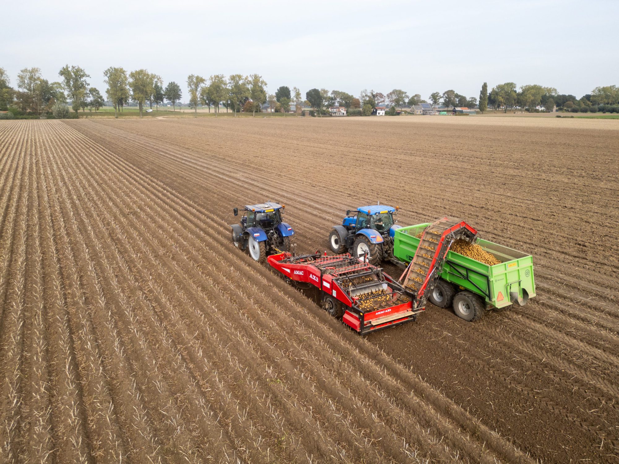 Afbeelding Mijn Groei