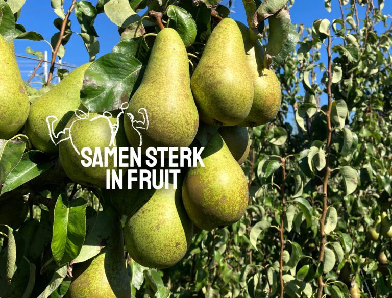 Afbeelding Samen sterk in fruit: Peter en Jos bouwen aan bemestingsplannen met oog voor het hele teeltseizoen