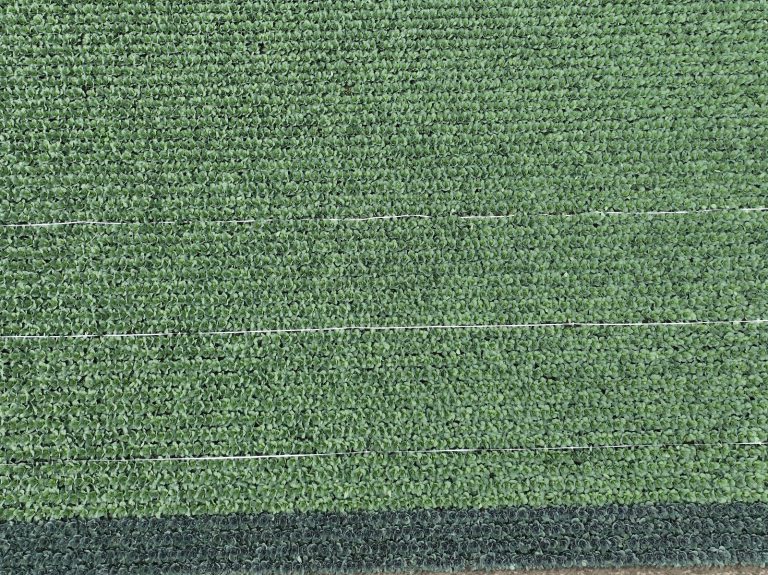 Afbeelding Biologische bestrijders in de akkerbouw