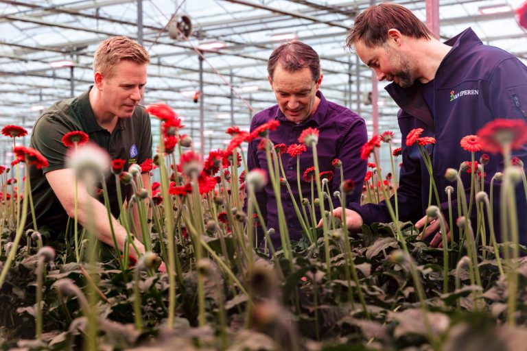 Afbeelding Gelezen in KAS: Open kaart spelen om te vergroenen