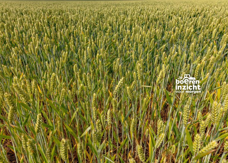 Afbeelding Je boereninzicht voor morgen