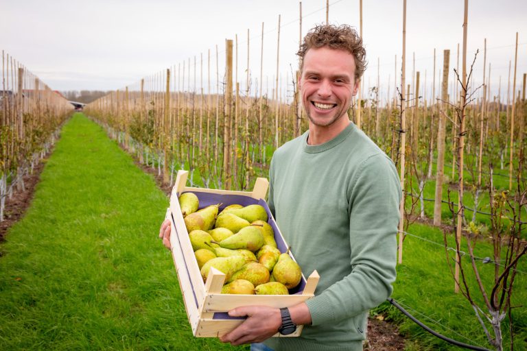 Afbeelding ViP | Twee telers, twee routes