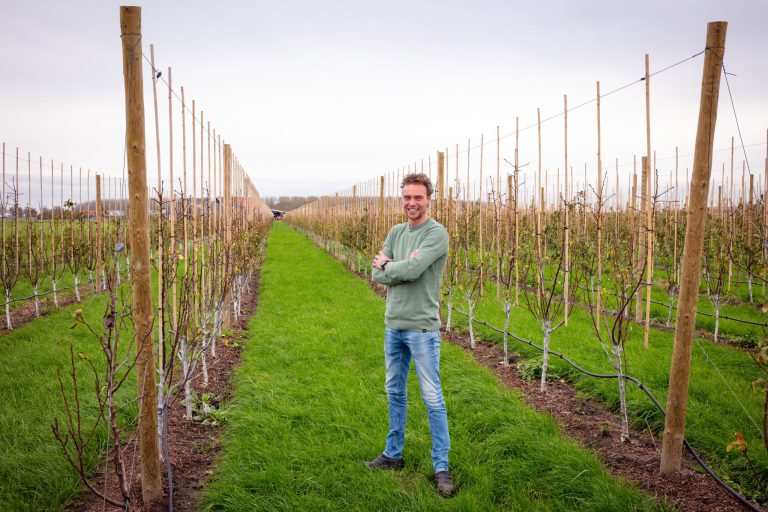 Afbeelding ViP | Twee telers, twee routes