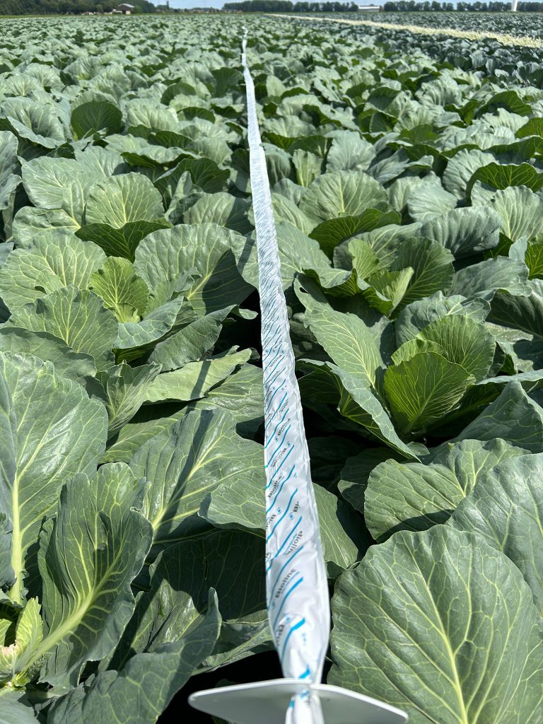 Afbeelding Biologische bestrijders in de akkerbouw