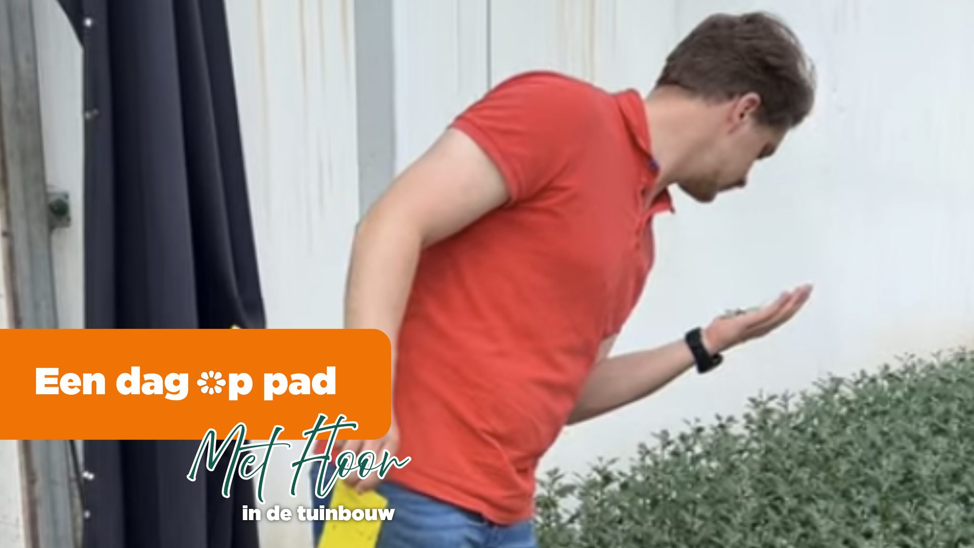 Afbeelding Vacatures