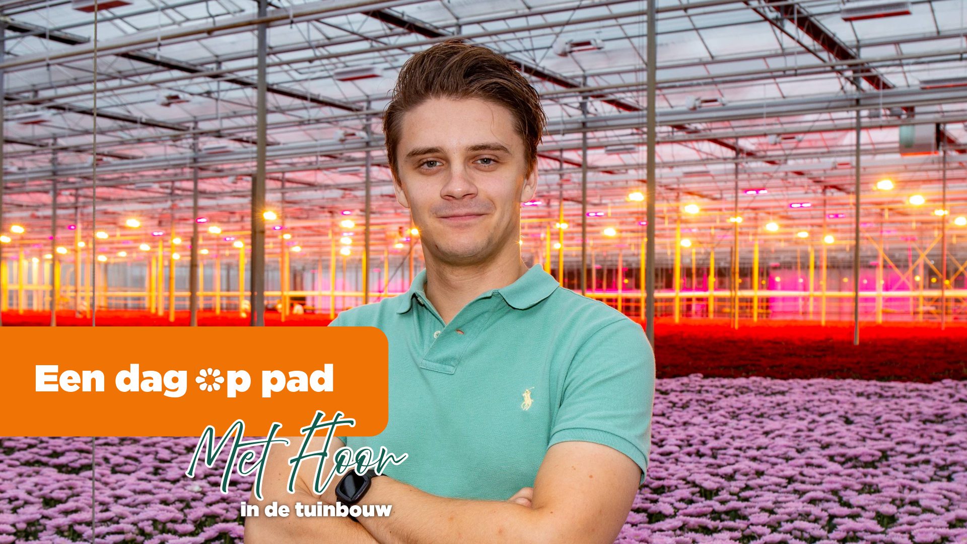 Afbeelding Werken Bij