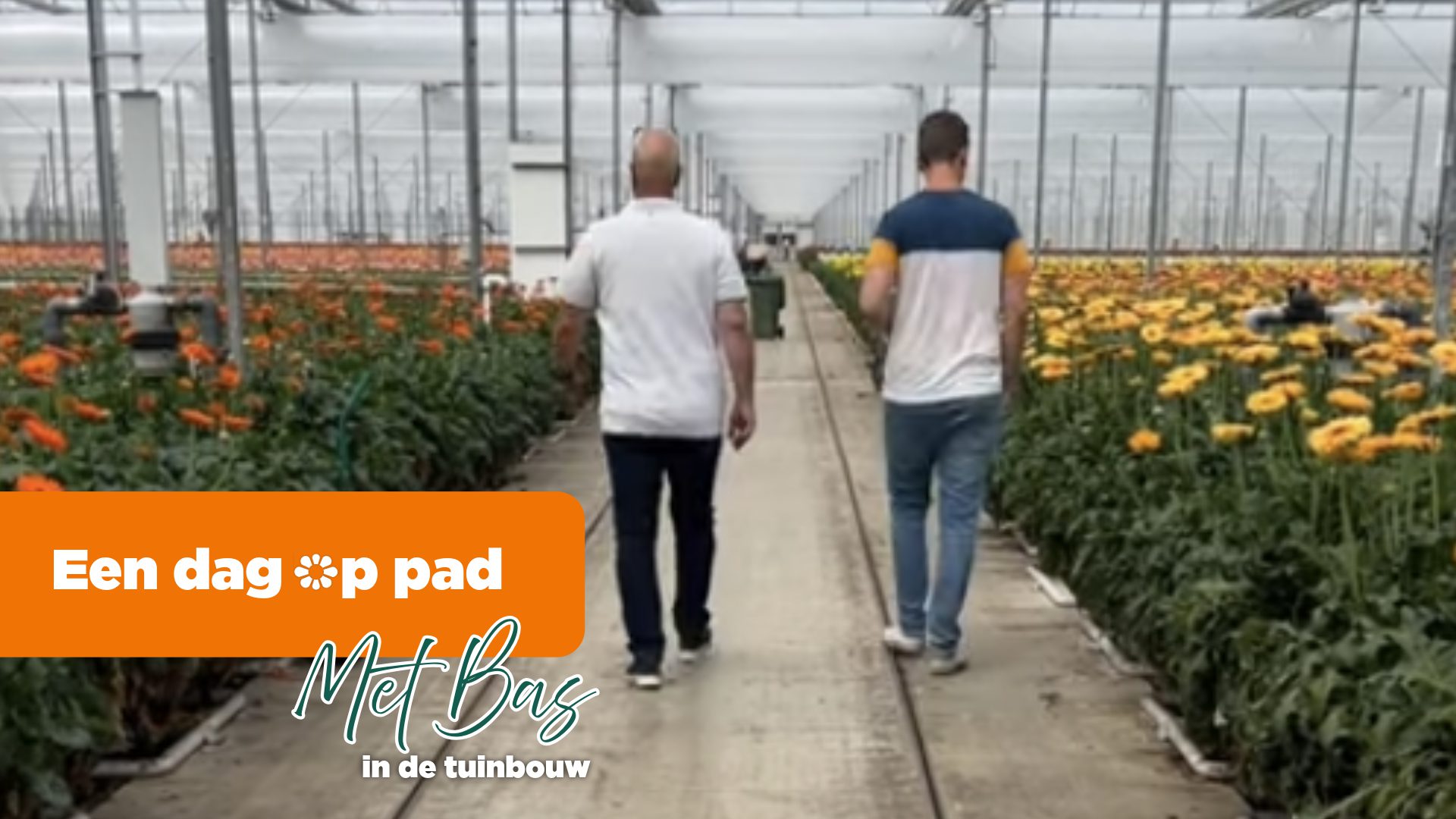 Afbeelding Vacatures