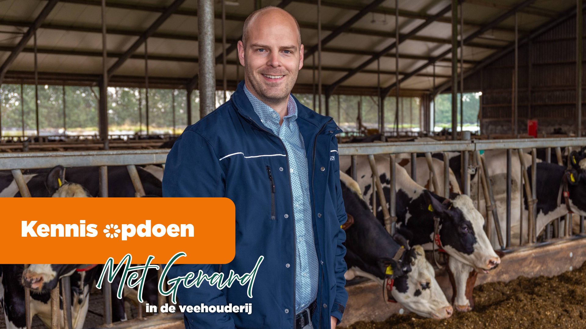 Afbeelding Werken Bij