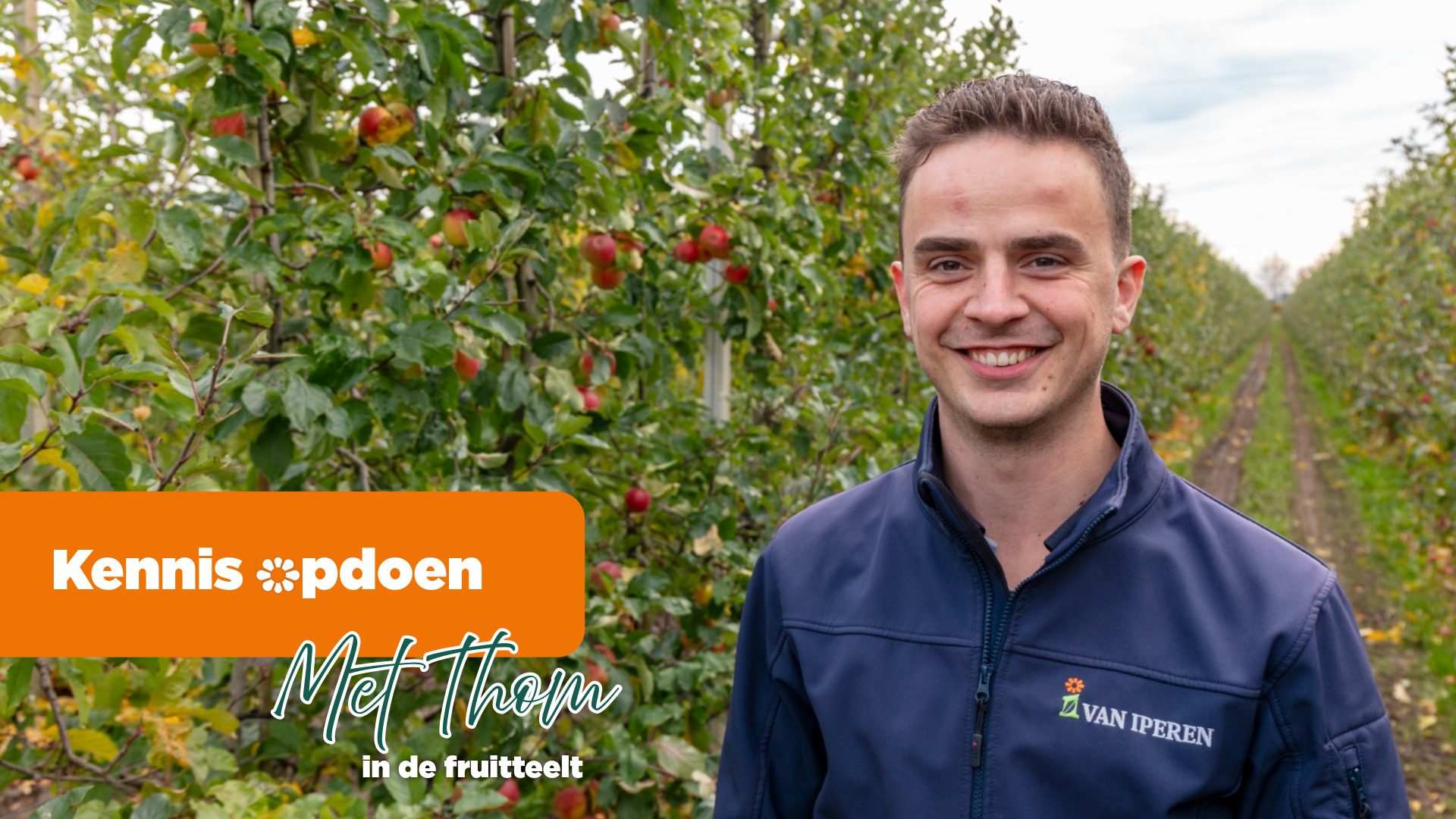 Afbeelding Werken Bij