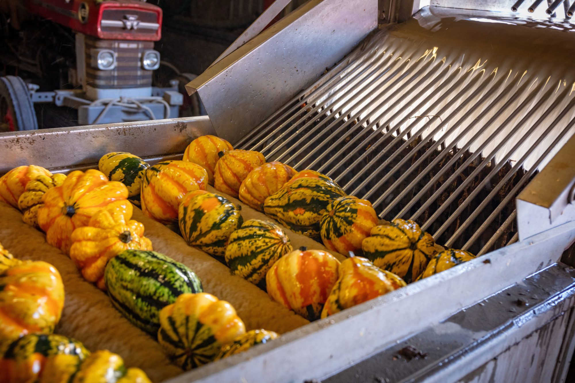 Afbeelding ViP | Een eigen weg in schaalvergroting