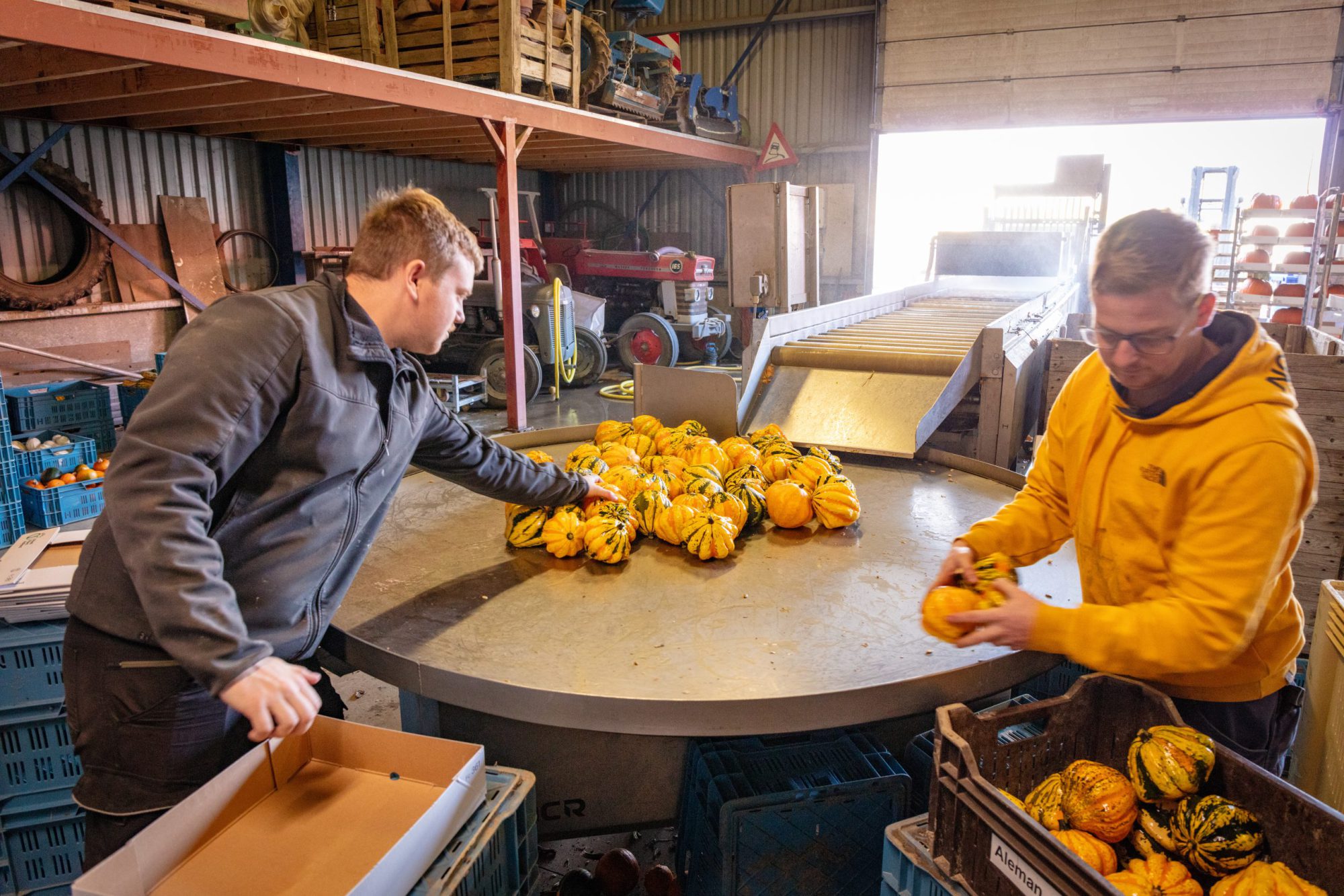 Afbeelding ViP | Een eigen weg in schaalvergroting