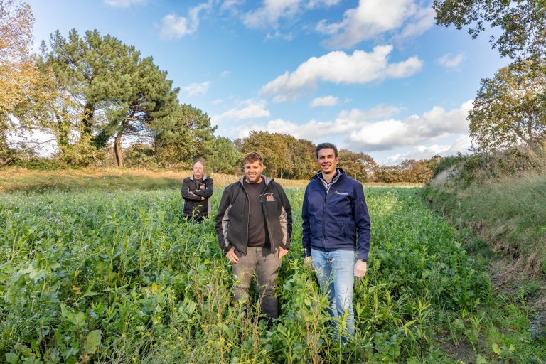 Afbeelding ViP | Een eigen weg in schaalvergroting