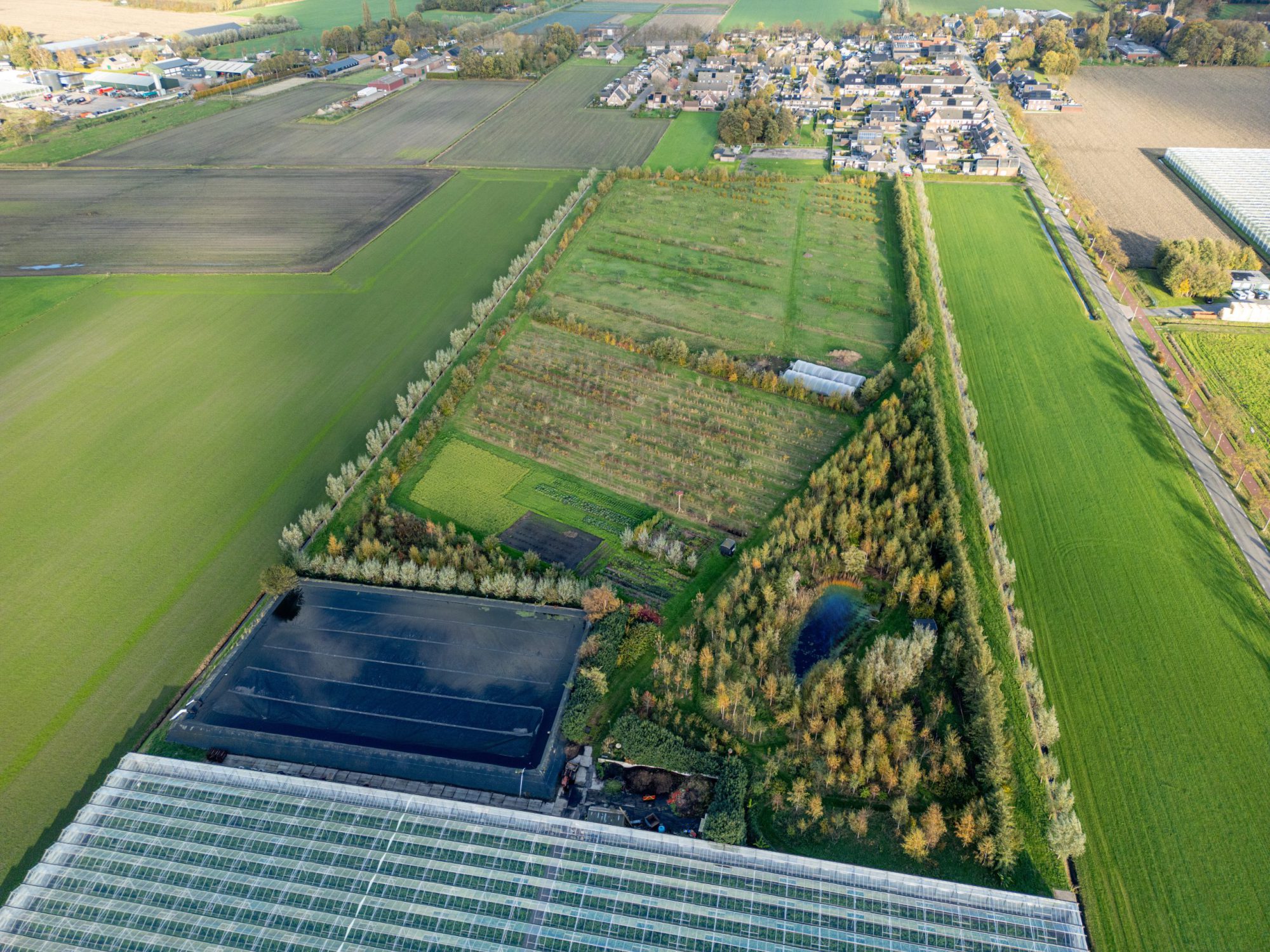 Afbeelding ViP | Niet groter, wel gelukkiger