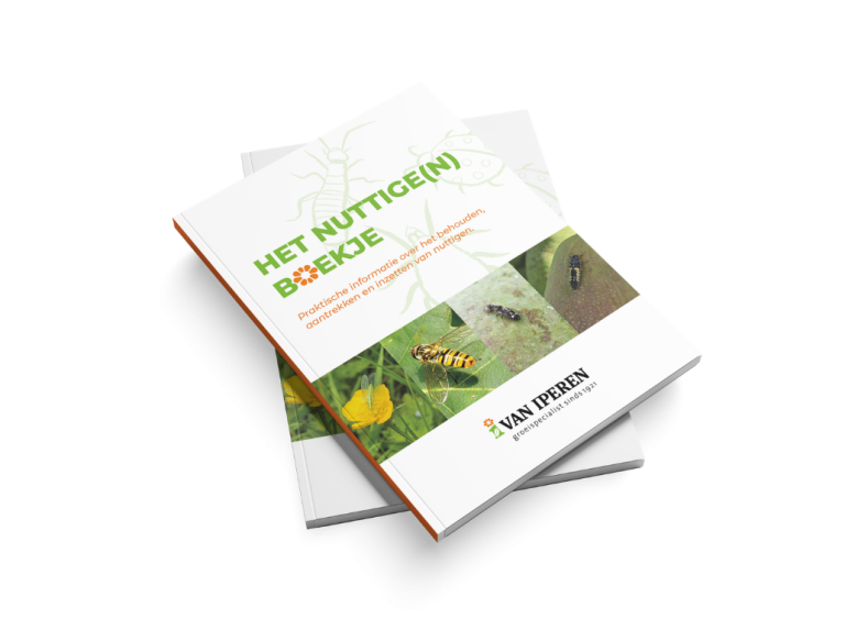 Afbeelding ViP | Samen sterk in fruit