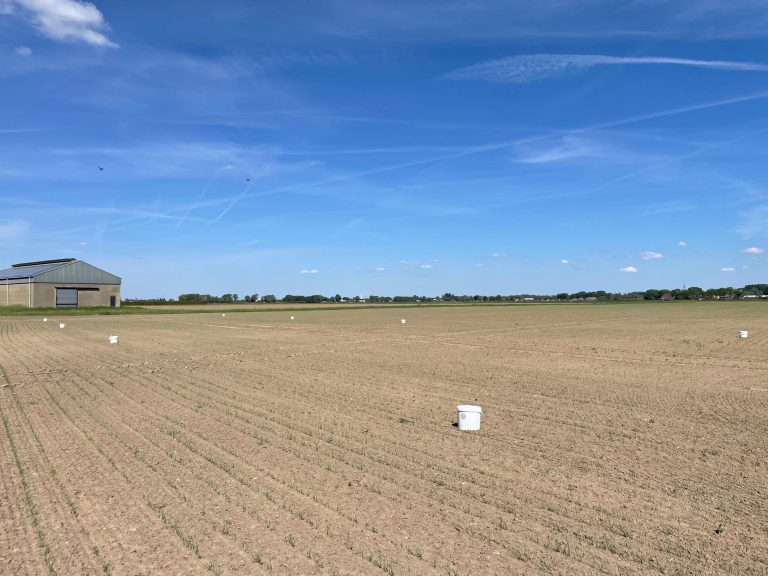 Afbeelding Biologische bestrijders in de akkerbouw