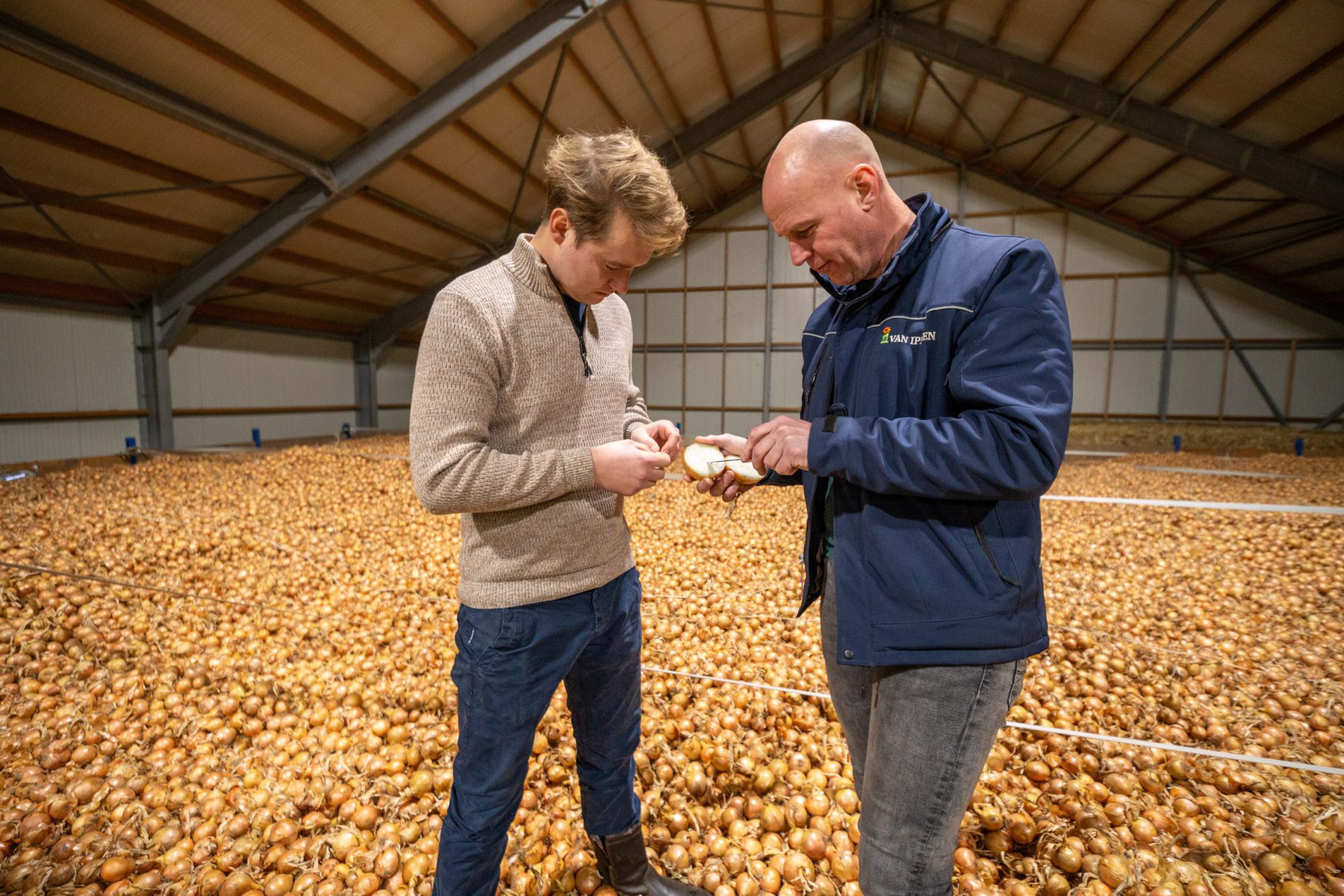 Afbeelding ViP | Digitaal boeren op zware zeeklei
