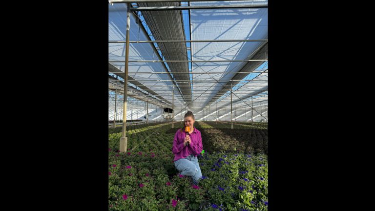 Afbeelding Sterk door sporen | Mangaan