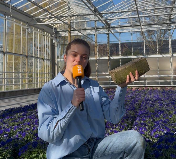 Afbeelding Molybdeen | Sterk door sporen