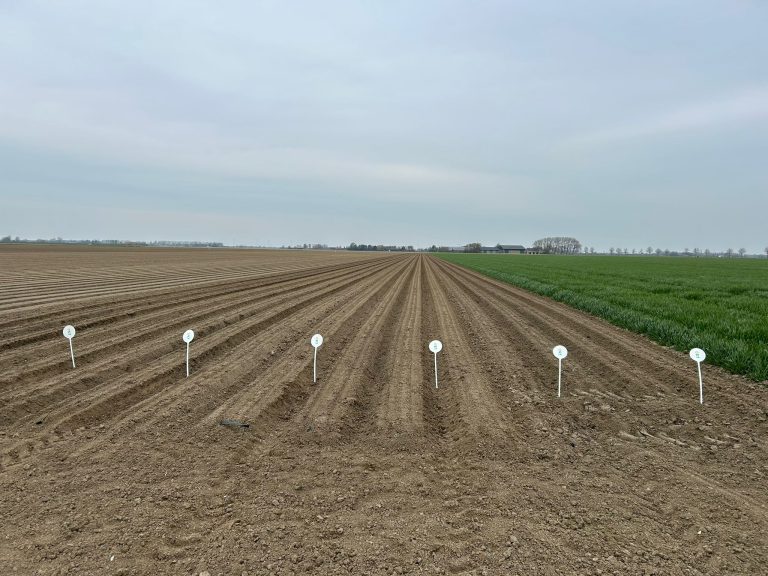 Afbeelding Fertigatienieuws | aanleggen en aansluiten