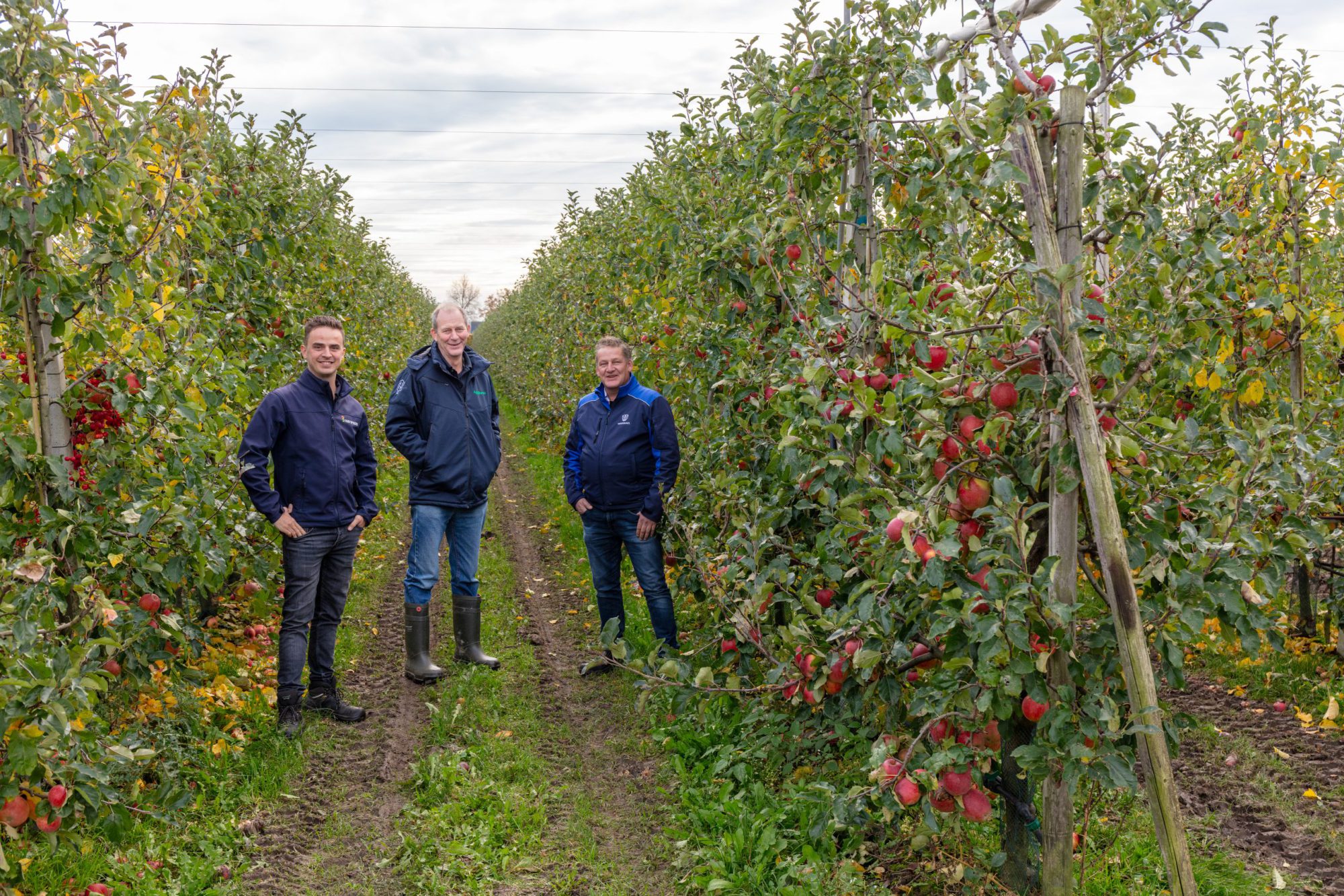Afbeelding ViP | Samen sterk in fruit
