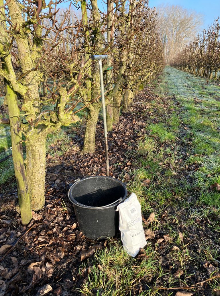 Afbeelding IJzerbemesting