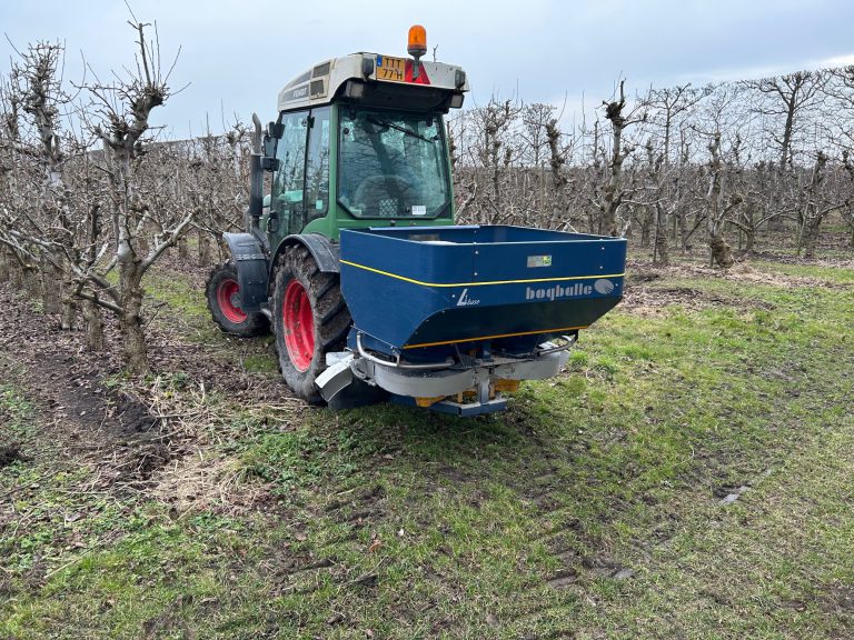 Afbeelding IJzerbemesting