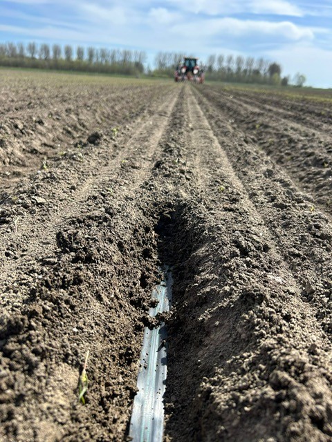 Afbeelding Fertigatienieuws | watergiften voor opkomst en onze proeven