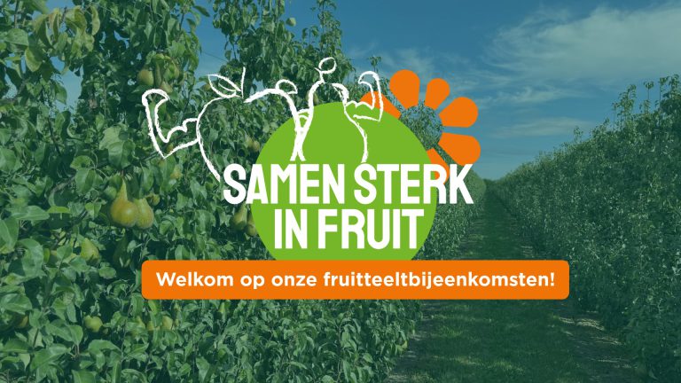 Afbeelding Samen sterk in fruit | zomerbijeenkomsten