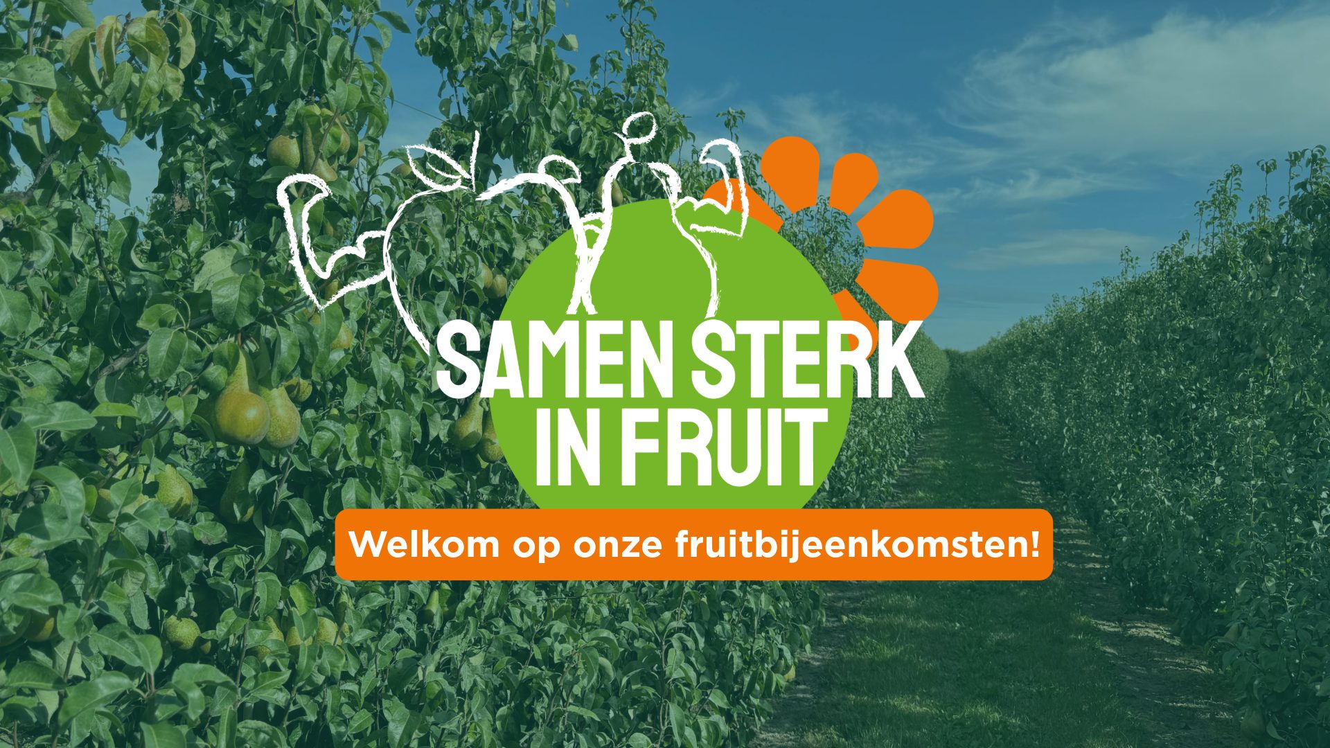 Afbeelding Fruitteelt zomerbijeenkomsten