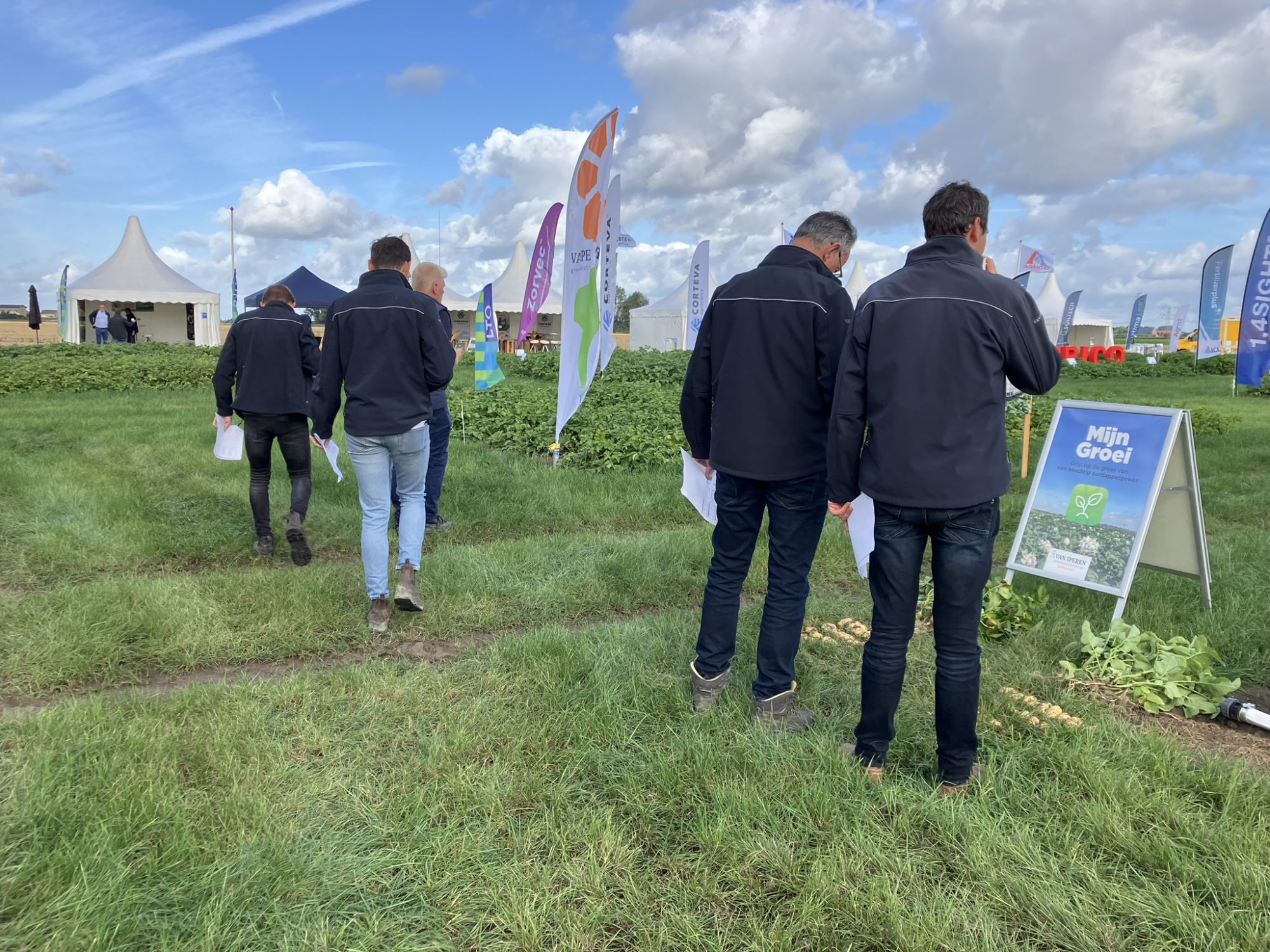 Afbeelding Aardappeldemodag