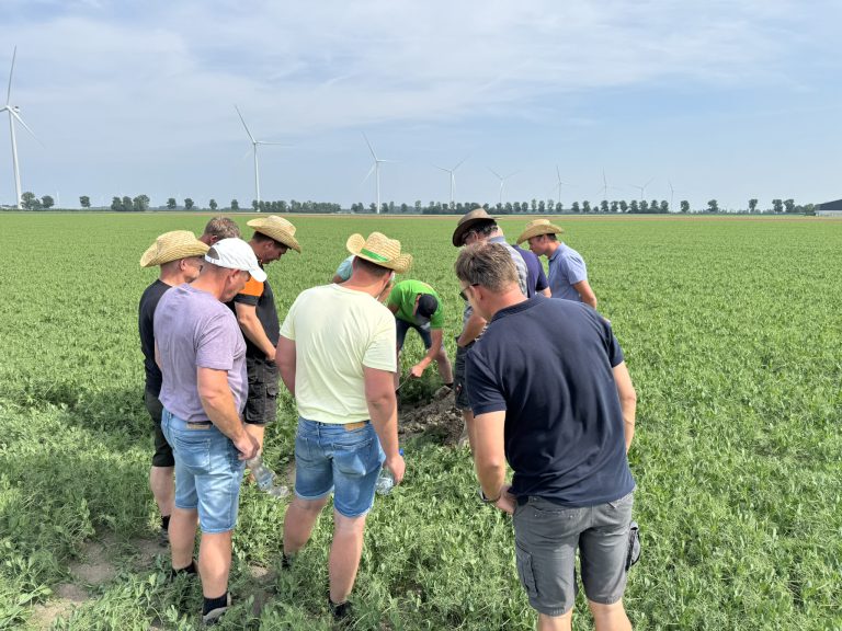 Afbeelding Proef de dag in de regio 2026