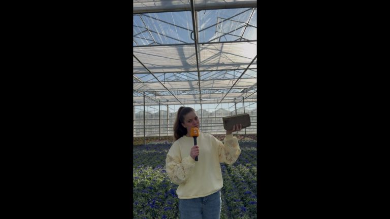 Afbeelding Sterk door sporen | Borium