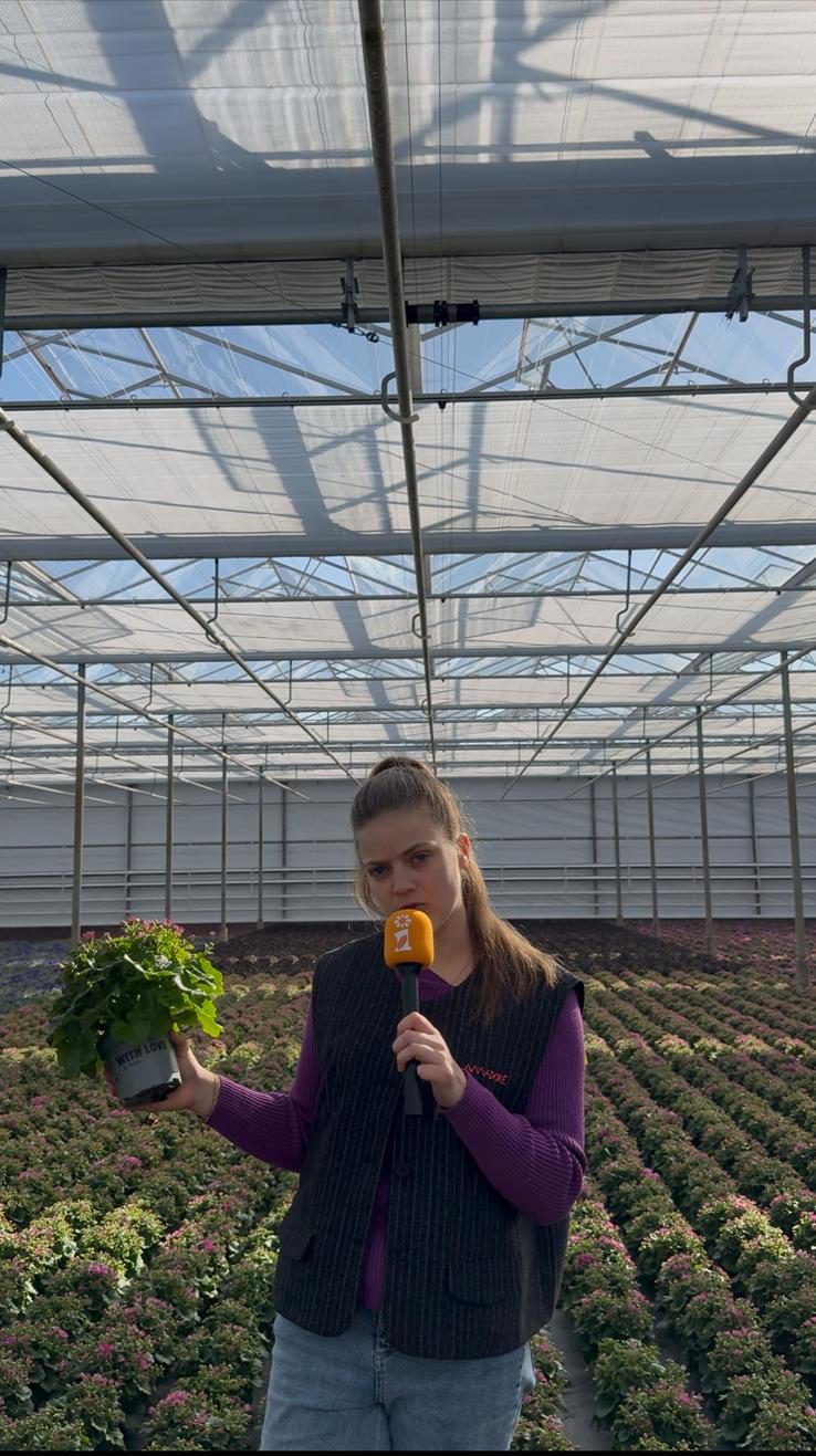 Afbeelding Sterk door sporen | koper