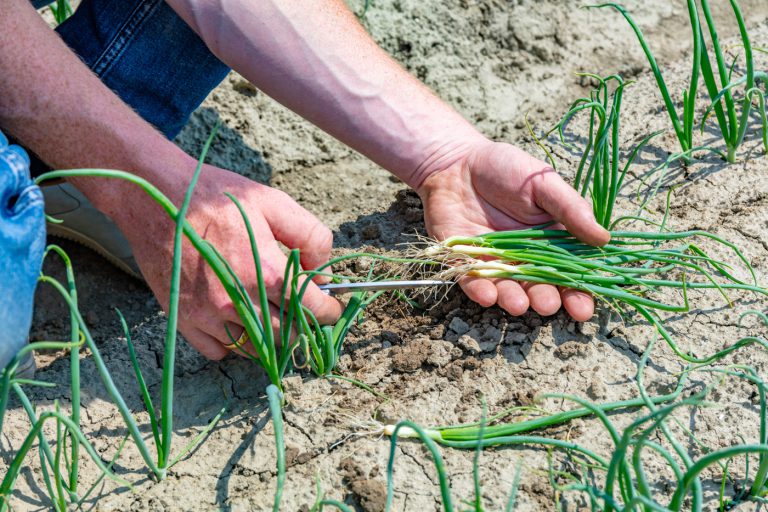 Afbeelding “Als je advies geeft, moet het goed onderbouwd zijn. Daar staan wij voor.”