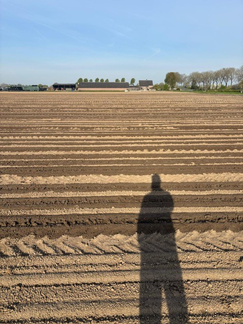 Afbeelding Fertigatienieuws | watergiften voor opkomst en onze proeven