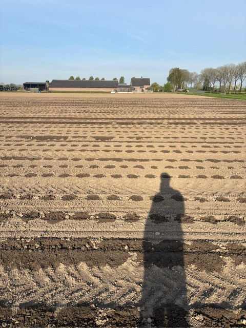 Afbeelding Fertigatienieuws | watergiften voor opkomst en onze proeven