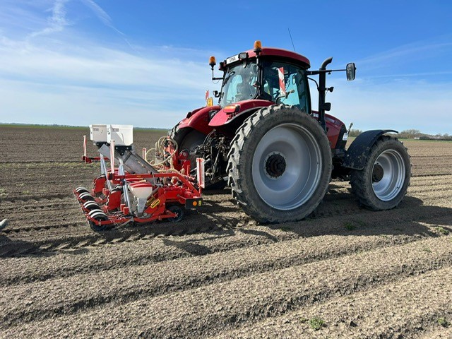 Afbeelding Fertigatienieuws | watergiften voor opkomst en onze proeven
