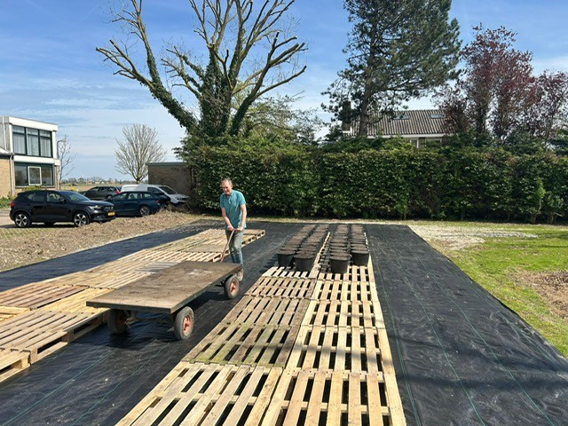 Afbeelding Fertigatienieuws | watergiften voor opkomst en onze proeven