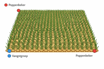 Afbeelding Aantal belangrijke punten voor SIT seizoen 2026