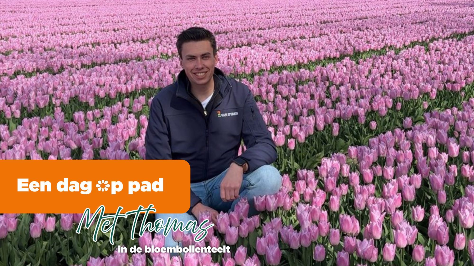 Afbeelding Werken Bij