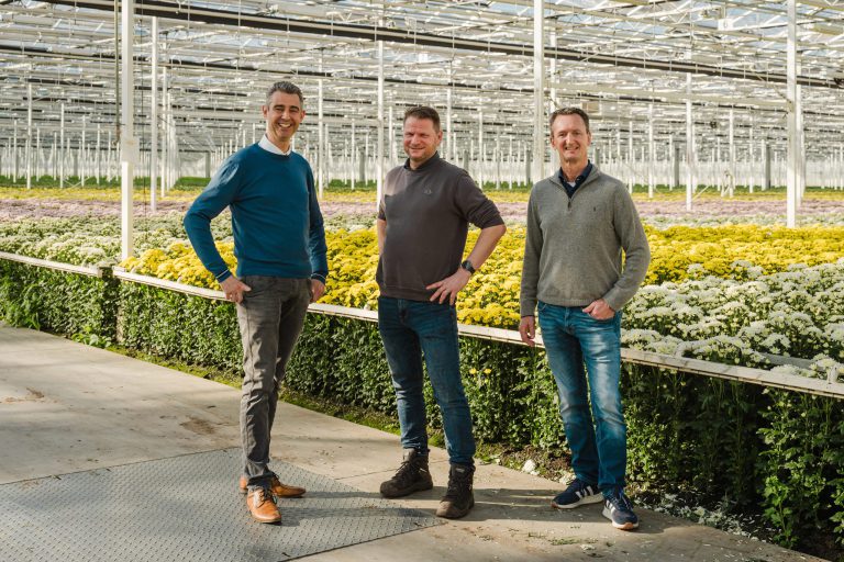 Afbeelding Diamond Flowers wil telen zonder chemie en zonder stomen