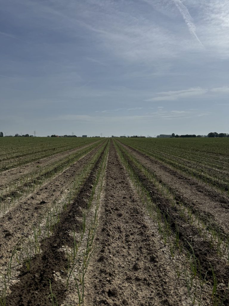 Afbeelding “Meer controle met fertigatie en data”