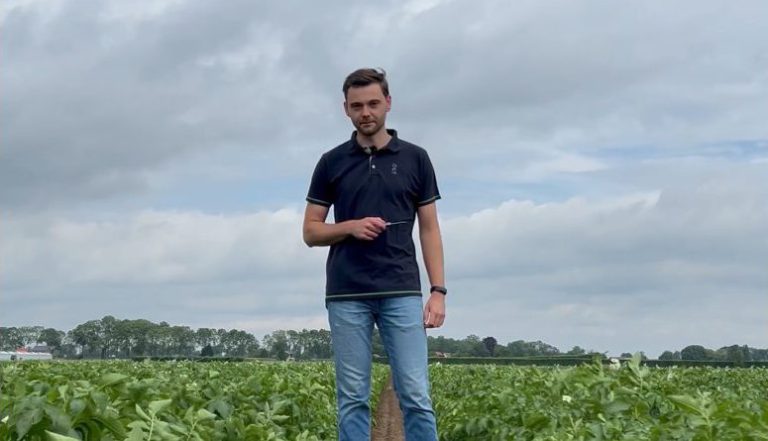 Afbeelding Op scherp met sporen | Beginnen met sporenelementen