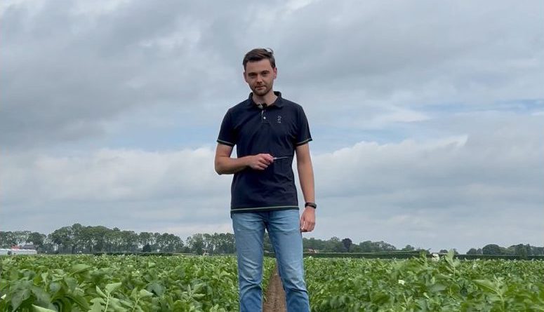 Afbeelding Op scherp met sporen | Beginnen met sporenelementen