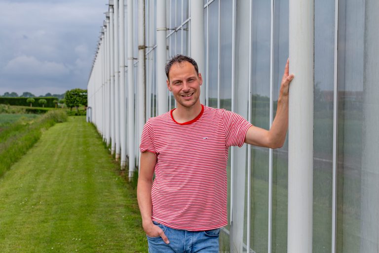Afbeelding Wittevliegbestrijding in tomaat, een moeilijke puzzel