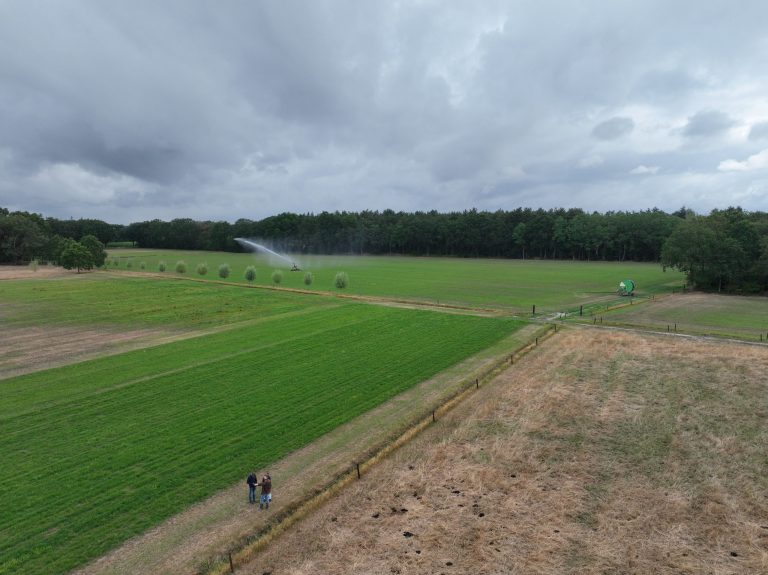 Afbeelding Fertigatie geeft grasland op zandgrond een groeivoorsprong in droge zomer